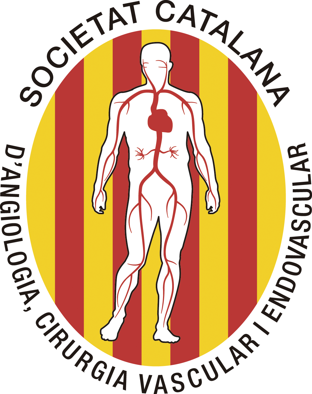 logo de la Societat Catalana d'Angiologia, Cirurgia Vascular i Endovascular